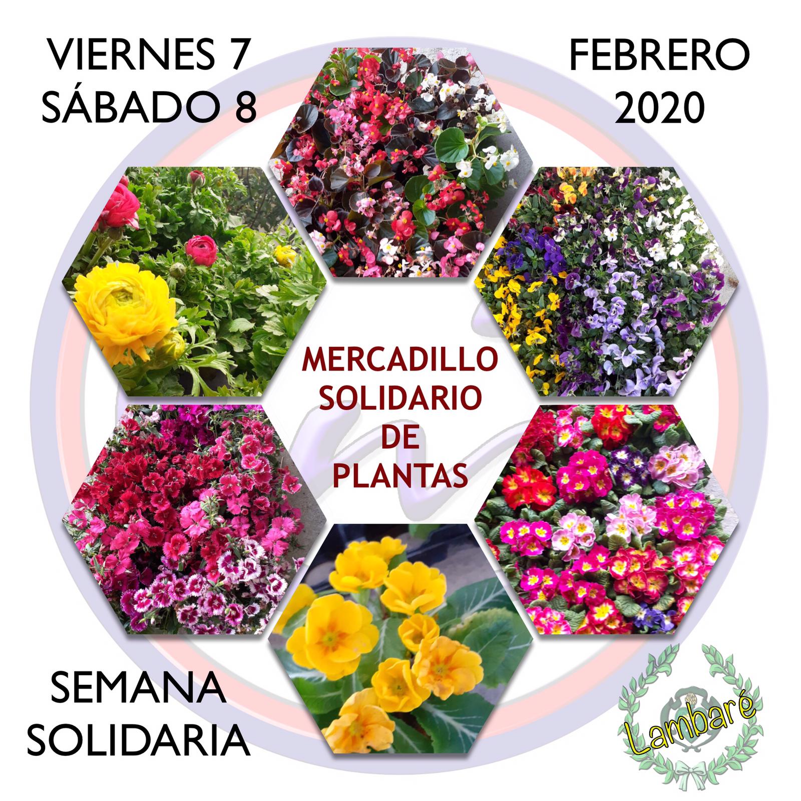 MercadilloDeFlores