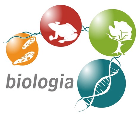 OLIMPIADA BIOLOGIA