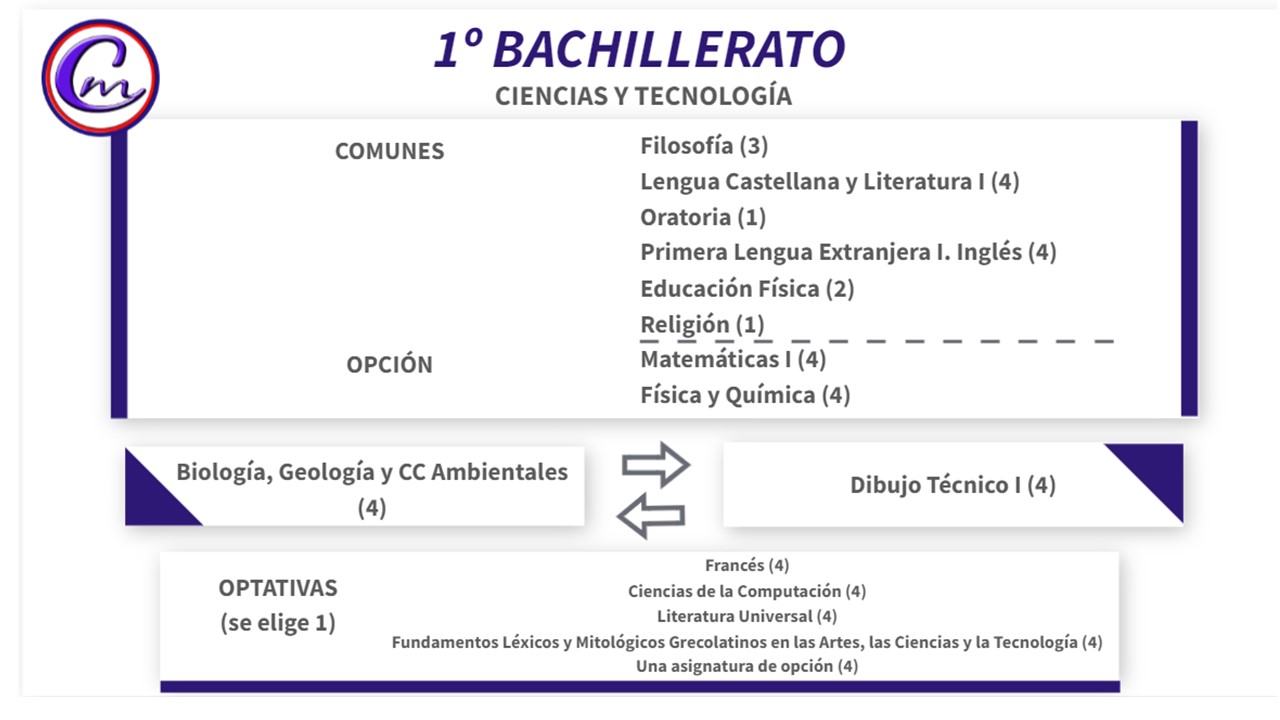 Diapositiva5